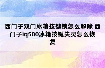 西门子双门冰箱按键锁怎么解除 西门子iq500冰箱按键失灵怎么恢复